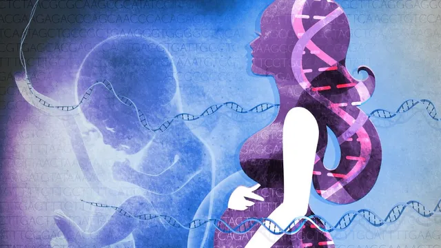 y-chromosome-shrinking-are-men-going-to-extinct-from-earth-asks-new-scientific-research-xx-xy-chromosomes-human-evolution